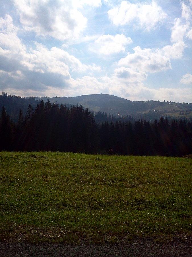 Ochodzita