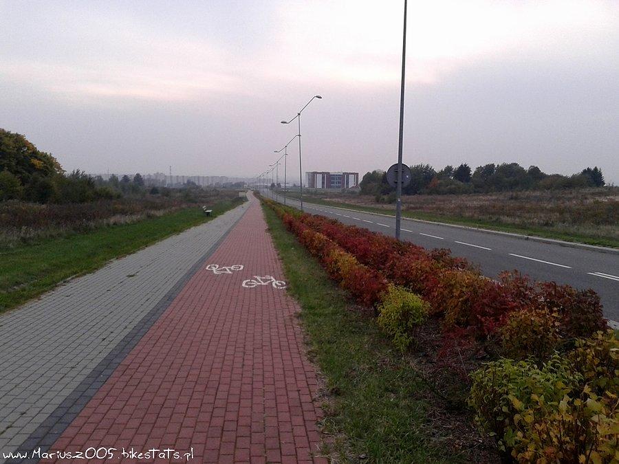Na Modrzewinie