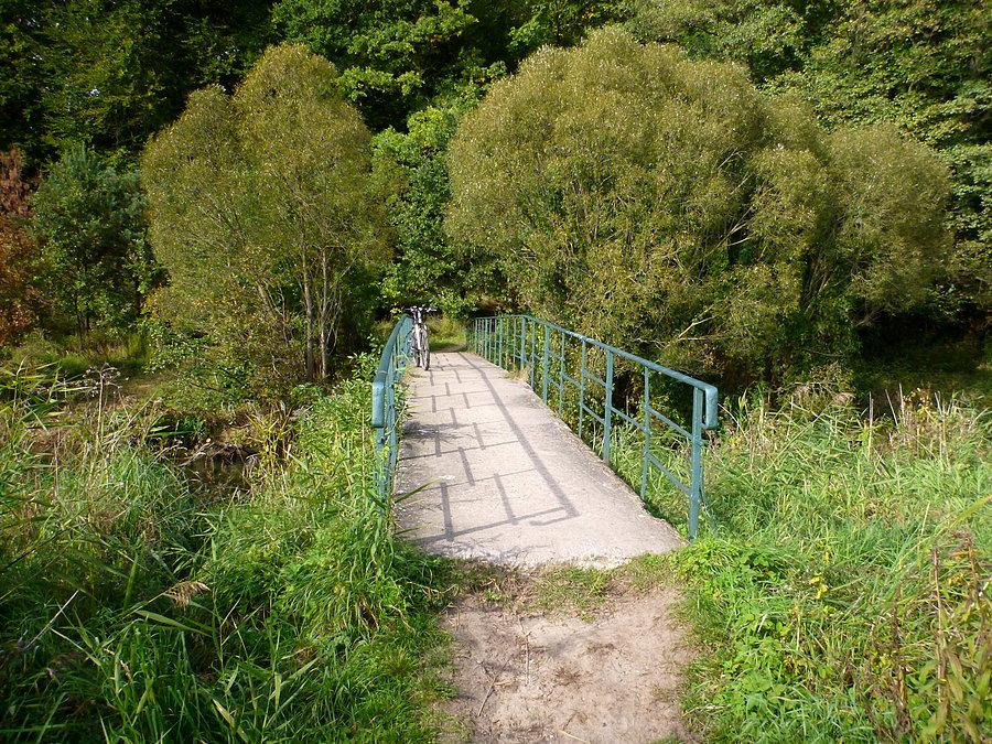 Simplon nad Regą 53°37'17.6"N 15°35'57.4"E