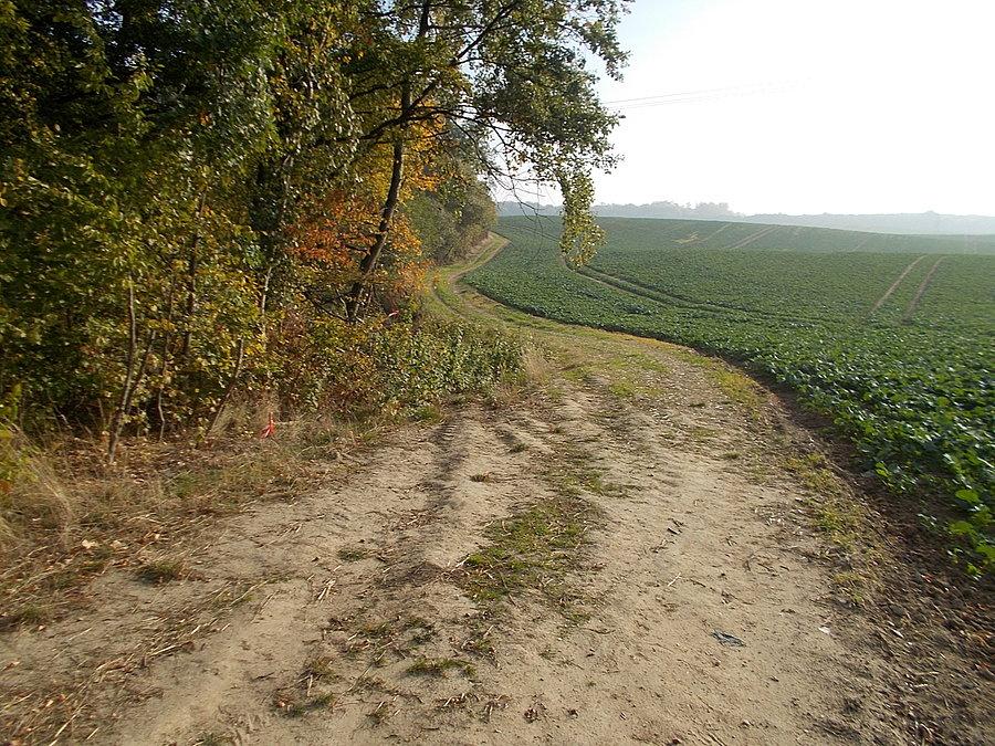 Początek budowy drogi rowerowej i chodnika wzdłuż ulicy Fromborskiej