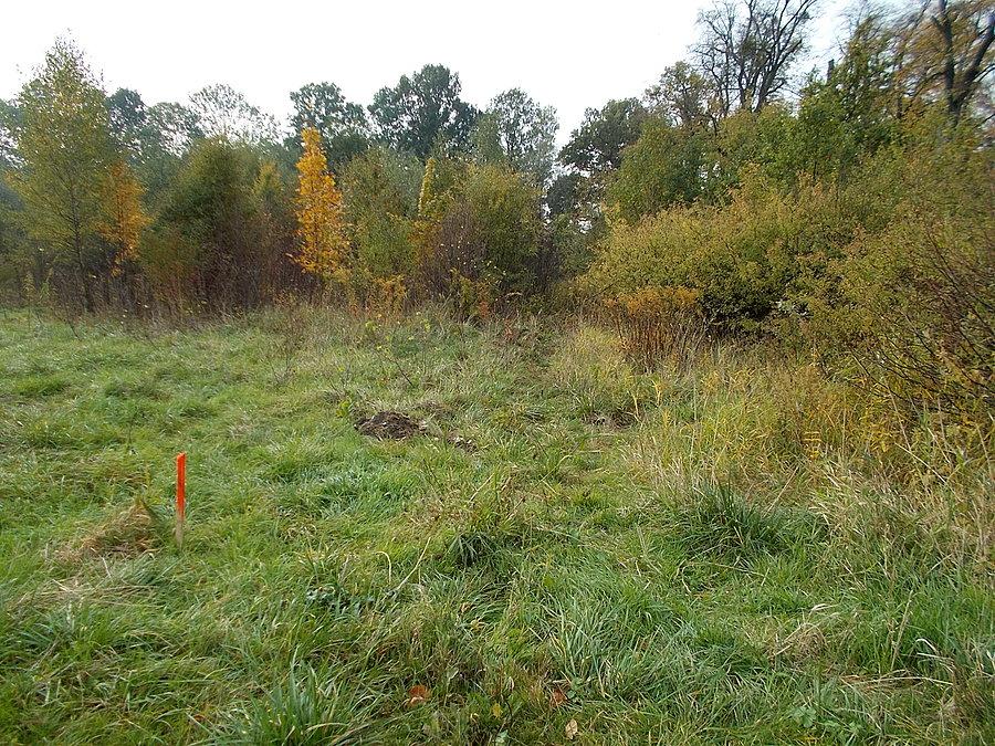 Początek budowy drogi rowerowej i chodnika wzdłuż ulicy Fromborskiej