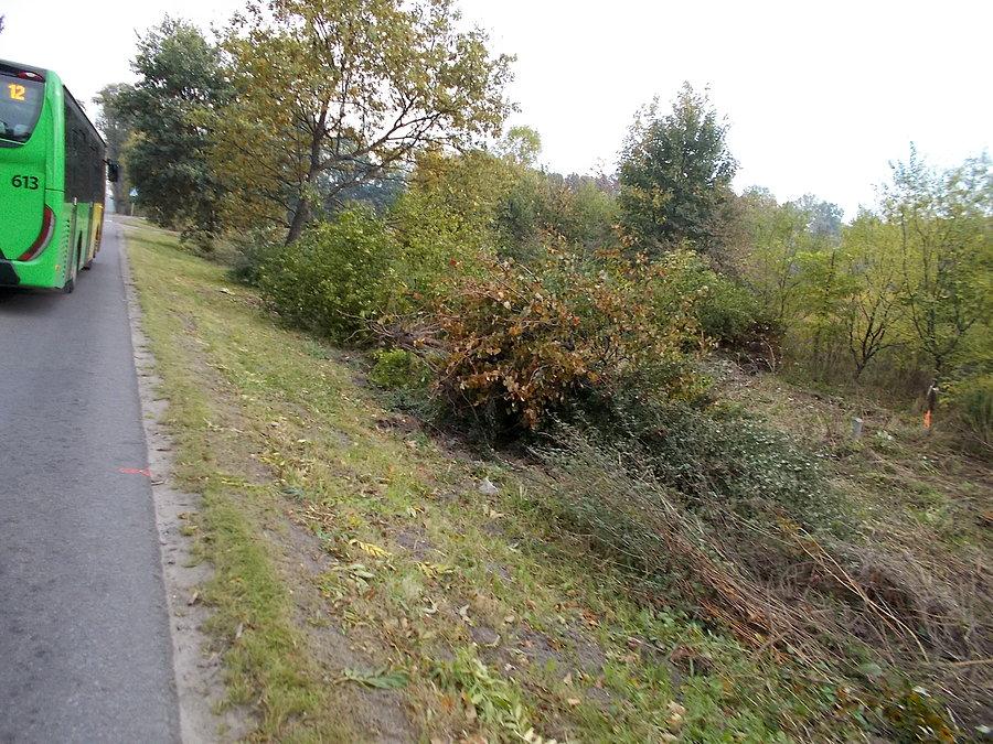 Początek budowy drogi rowerowej i chodnika wzdłuż ulicy Fromborskiej