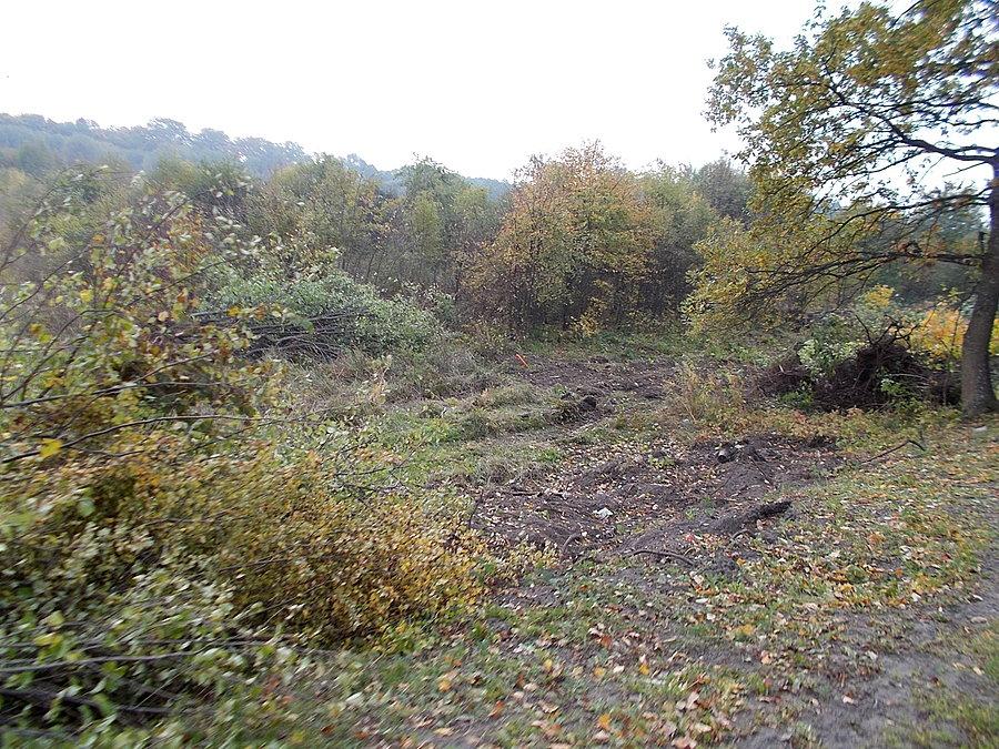 Początek budowy drogi rowerowej i chodnika wzdłuż ulicy Fromborskiej