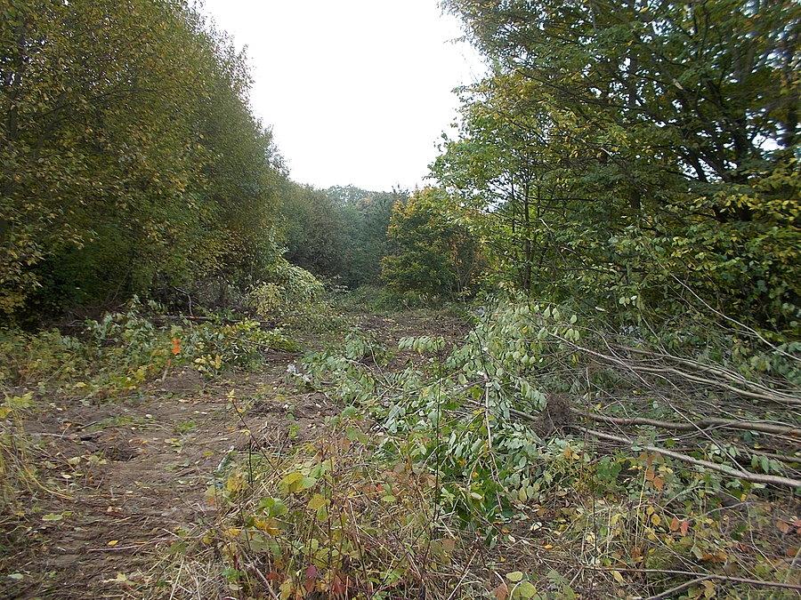 Początek budowy drogi rowerowej i chodnika wzdłuż ulicy Fromborskiej