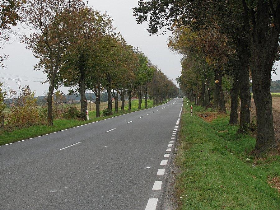 Ciąge prosto i płasko i płasko i prosto