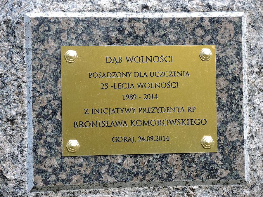 Dąb Wolności - zbliżenie na tabliczkę