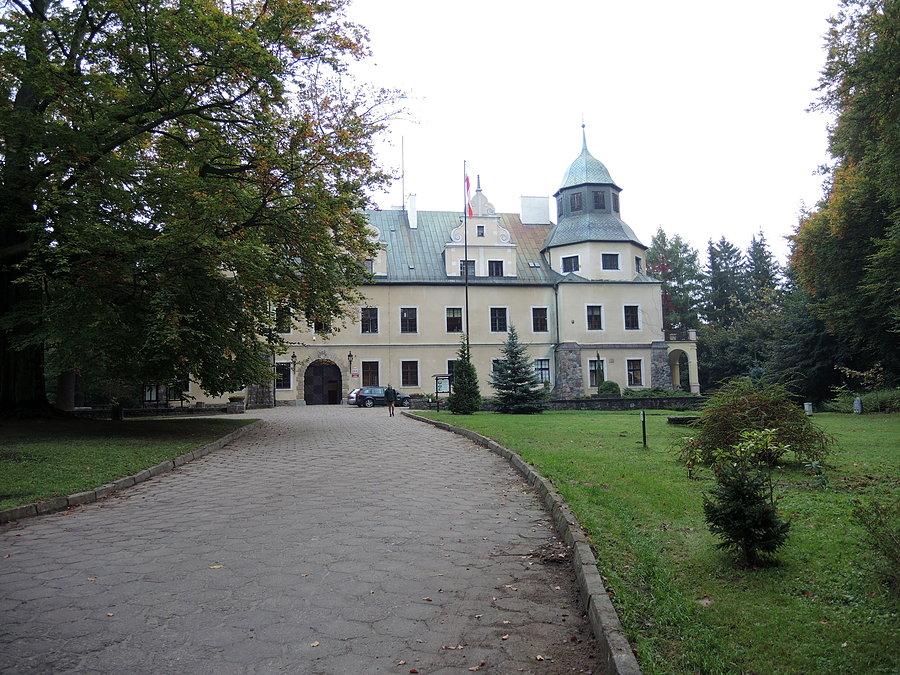 Zamek w Goraju