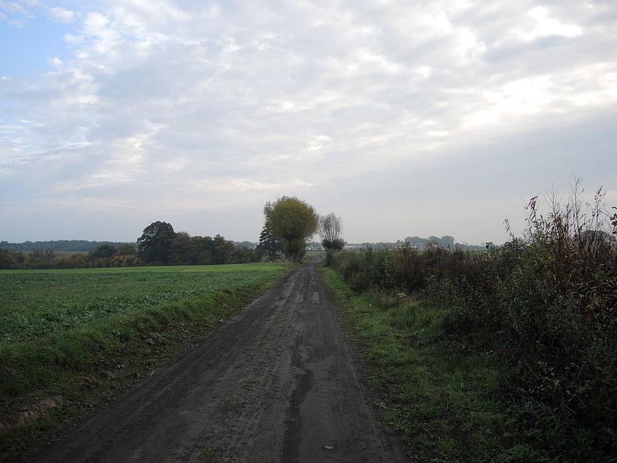 W drodze do Dębego cd