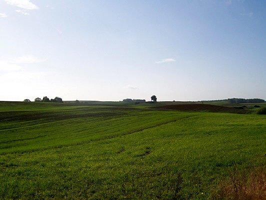 Rozległe pola widziane z drogi na Karnity