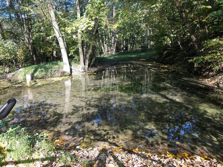 Sulów - źródło Bystrzycy