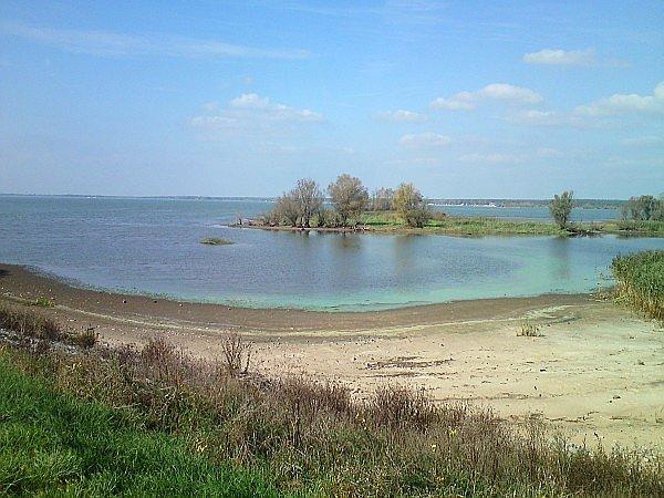 Sędzia Laguna w Turawie