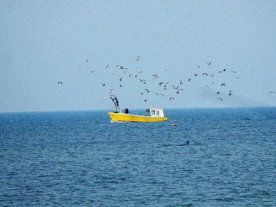 Na plaży w Krynicy Morskiej. Kuter rybacki wraca z połowów