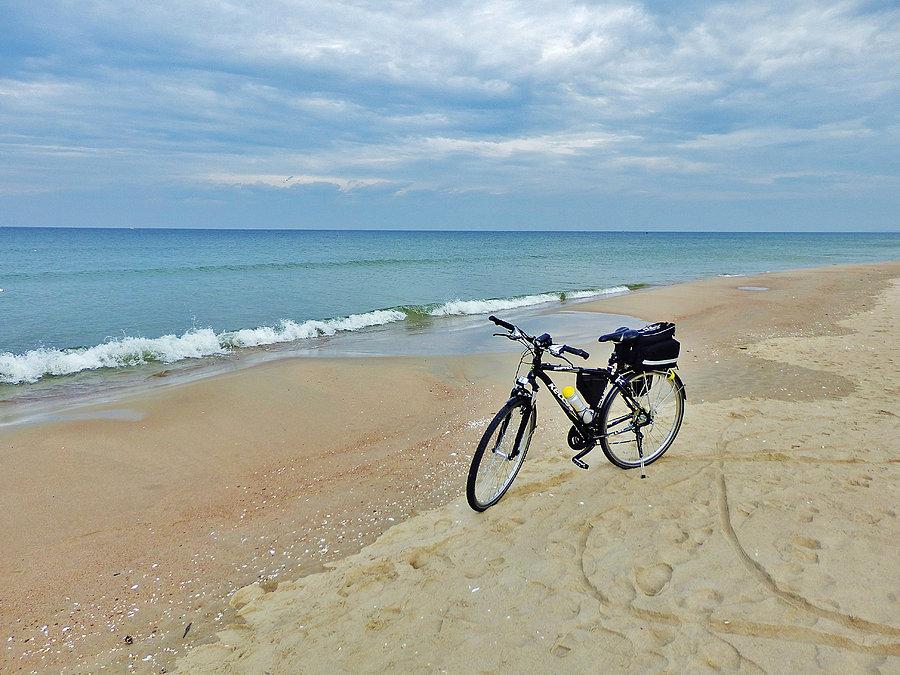 Na plaży w Krynicy Morskiej