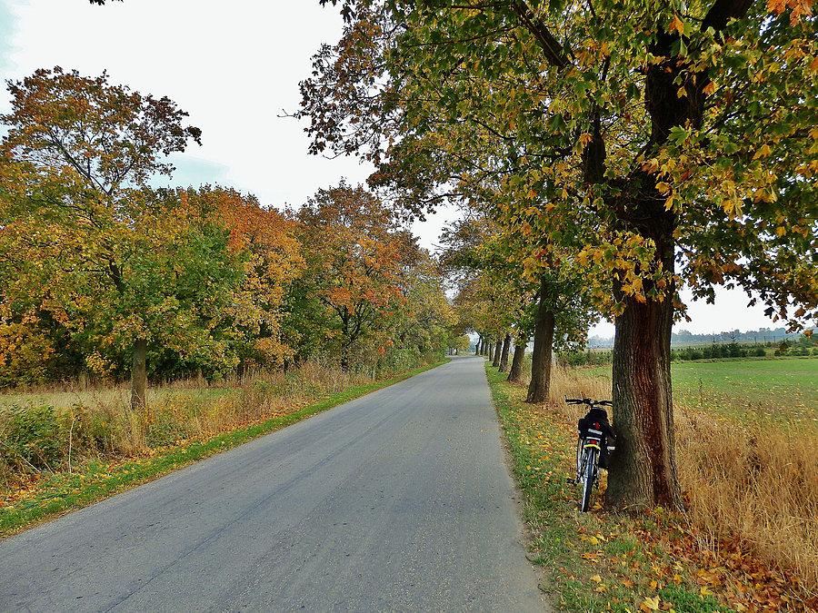 Wycieczka na Mierzeje Wiślaną. Na trasie