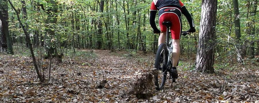 Jak dobrze poszaleć na mtb po sezonie :)