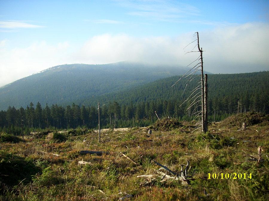 Szczyt Czarnej Góry we mgle