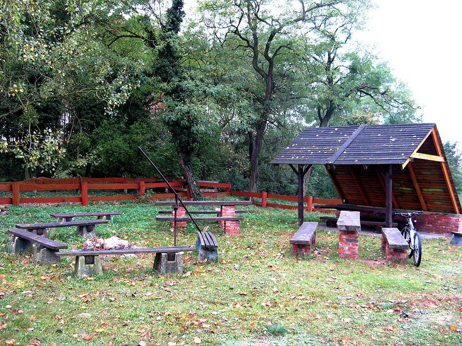 Łoskoniówka