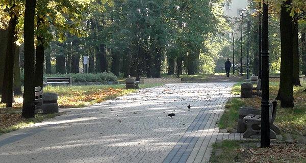 Biała Podlaska. Zofii Las