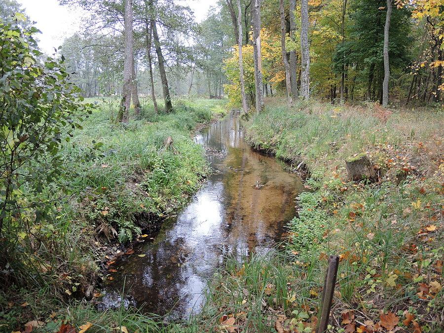 Rudnica w Kuźnicy Czarnkowskiej