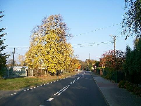 Więc chodź pomaluj mój świat na żółto, pomarańczowo, czerwono, brązowo
