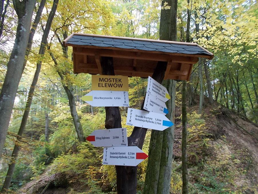 Przedszkolaki w Bażantarni