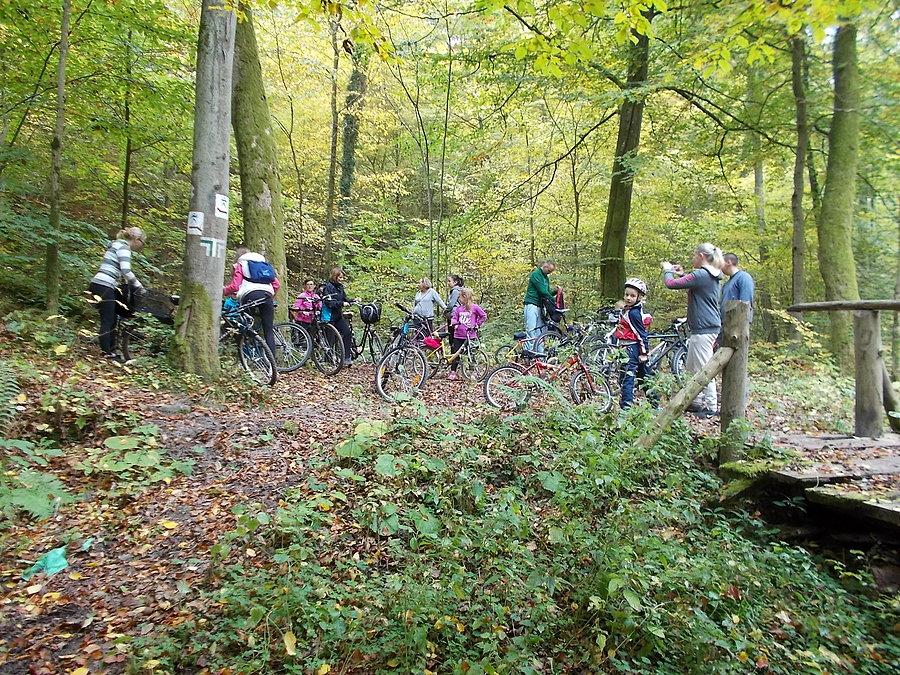 Przedszkolaki w Bażantarni