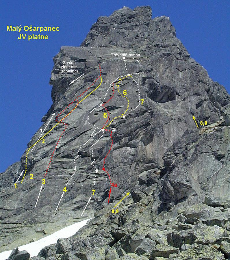Mały Oszarpaniec