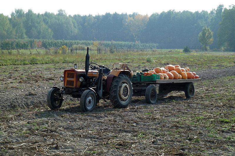 Traktor