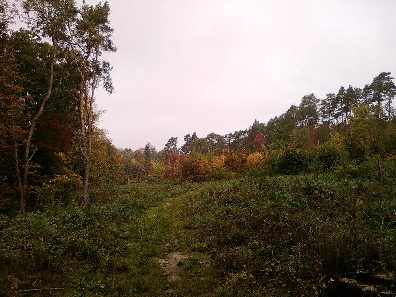 Szlak w Smardzewie