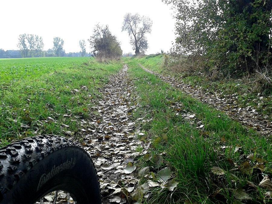Sokolniki - Tolcz