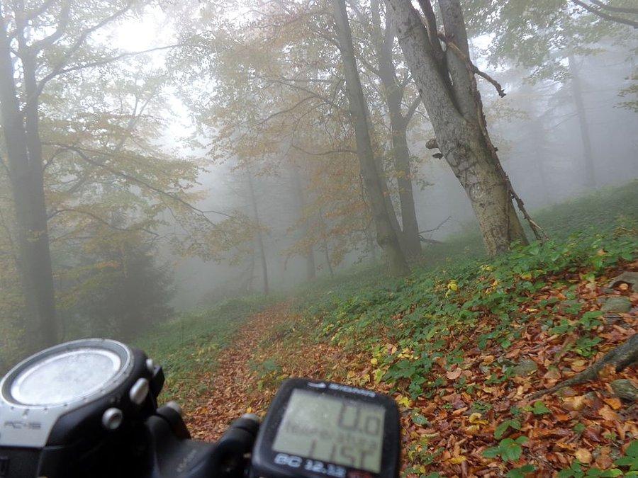 Chłodnawo..tylko 11,5 a miało byc ciepło..jak to ?!