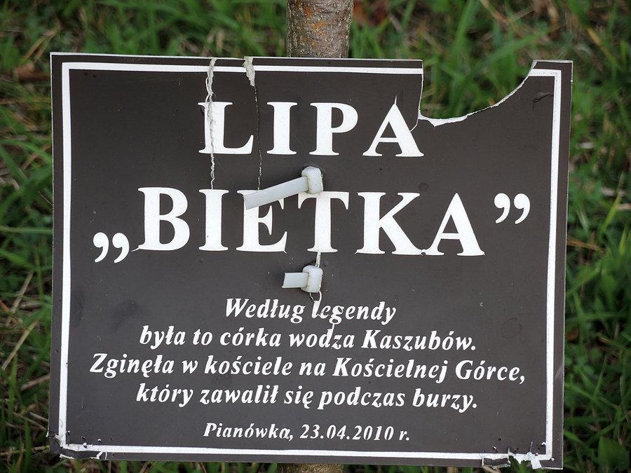 Lipa BIETKA - tabliczka informacyjna