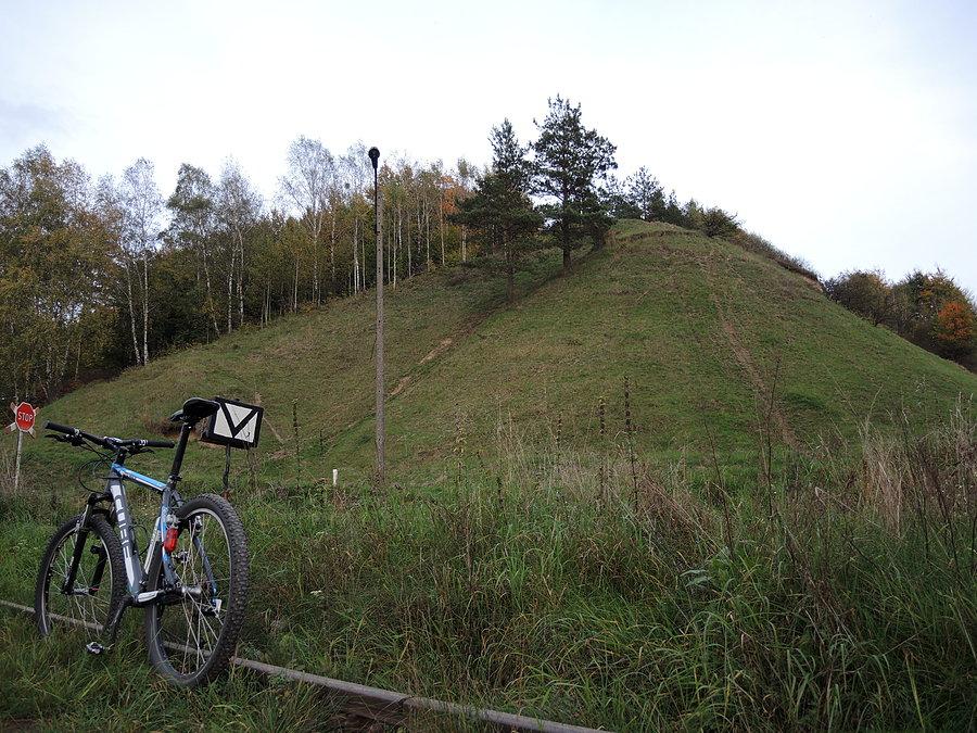 Widok z dołu