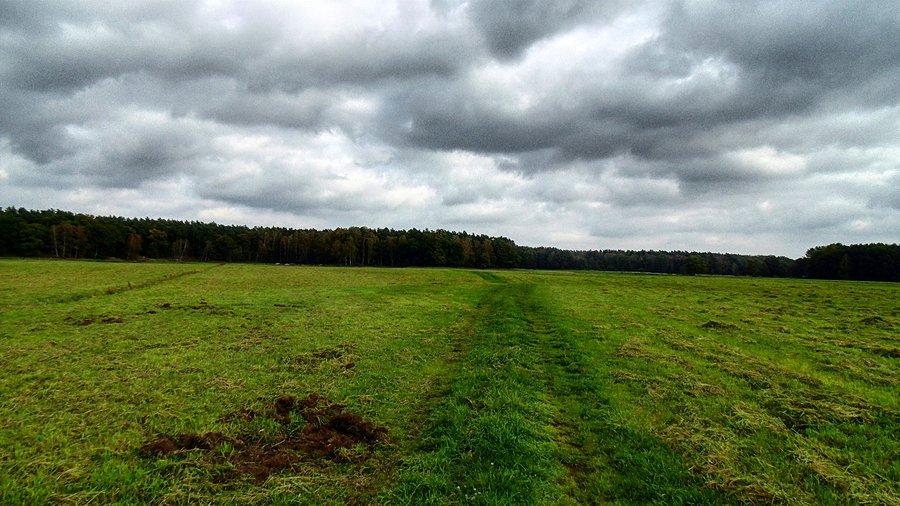 Wypróbowałem go też na mokrej łące