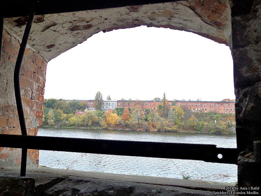 Widok przez Narew