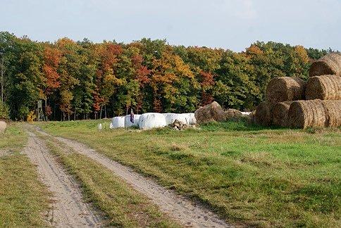 Jesienną porą w polu