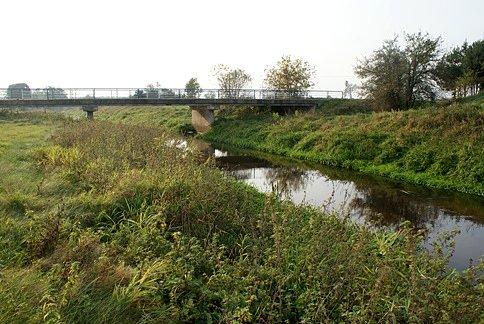 Polną wzdłuż Wolbórki
