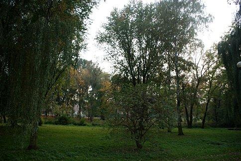 Park Bulwary