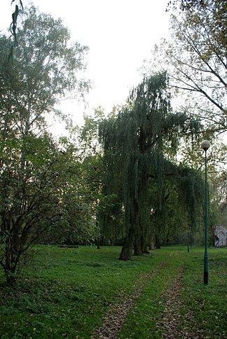 Tuż obok wyburzanego zakładu Mazovia