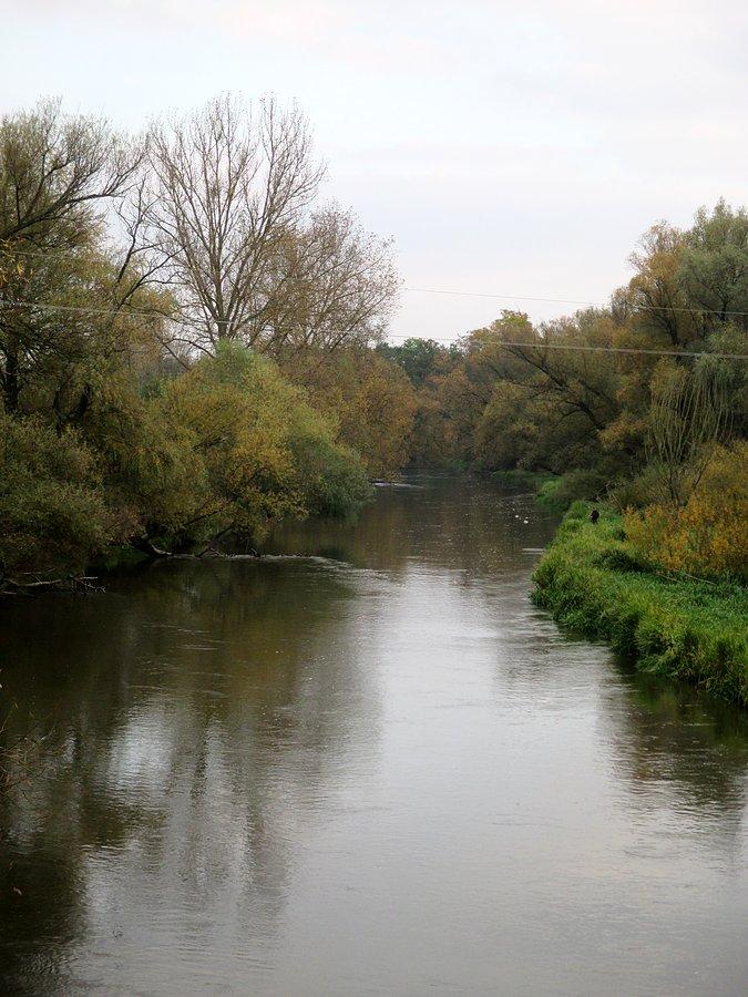 Wieprz tuż przed zbiegiem z Bystrzycą w Kijanach