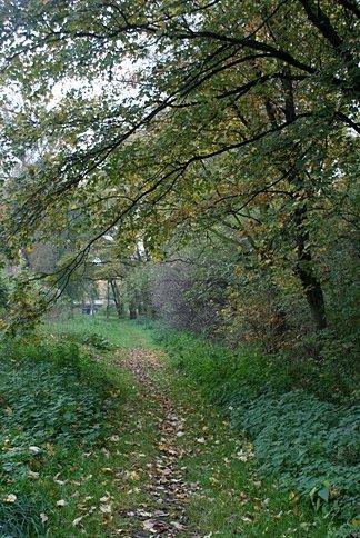 Ścieżynką, po lewej Mazovia, po prawej rzeka Wolbórka