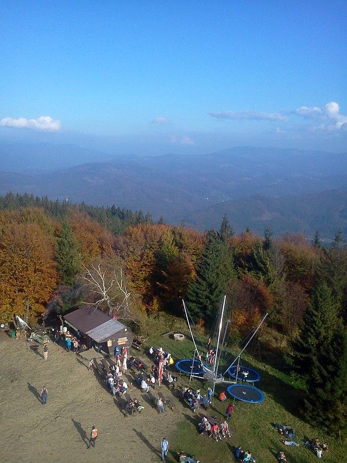 Widok z wieży