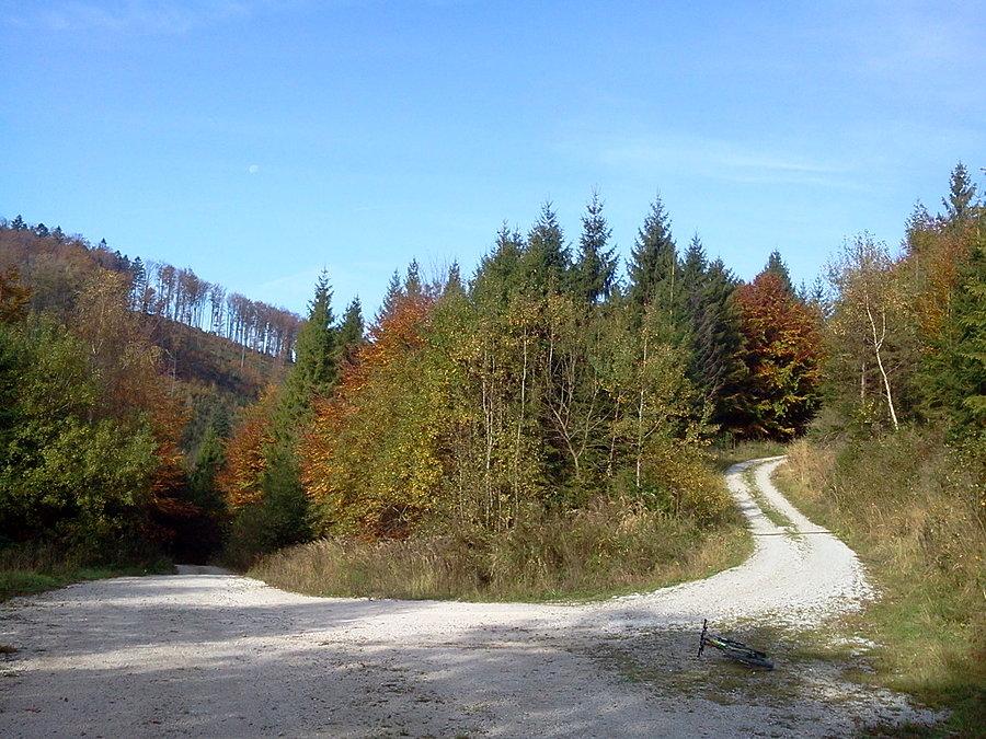 Podjazd z Kosarzysk