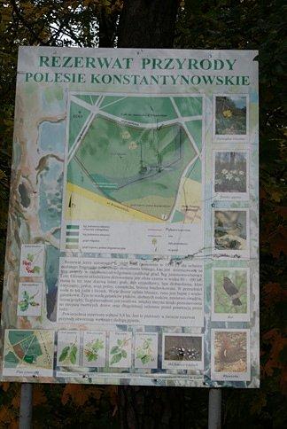 Rezerwat Przyrody Polesie Konstantynowskie