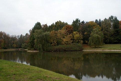 Parkowy staw