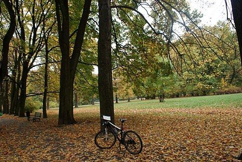 Kolejny łódzki park