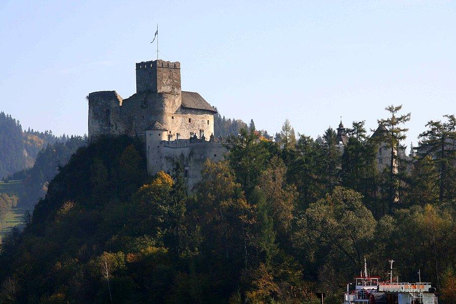 Zamek w Niedzicy I