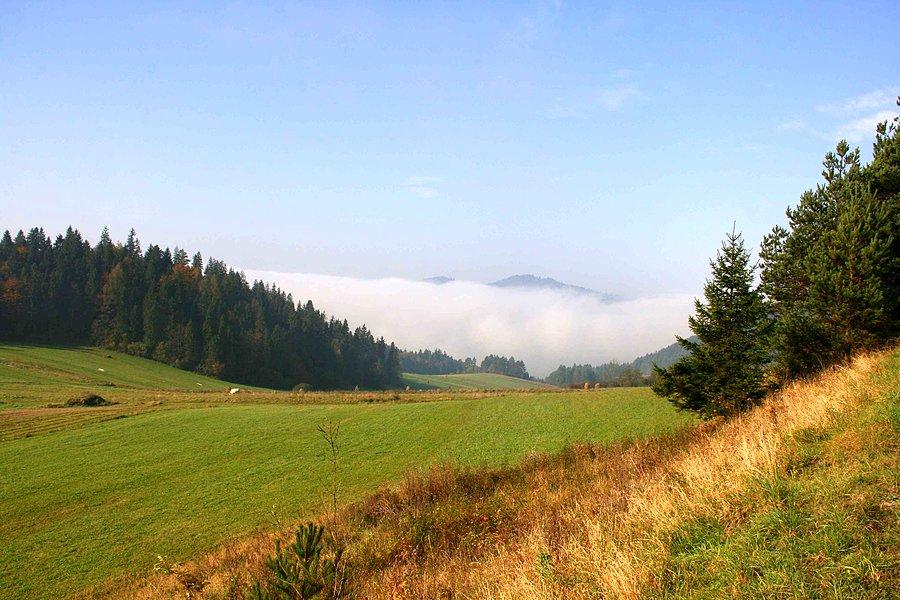 Jezioro Czorsztyńskie spowite mgłą