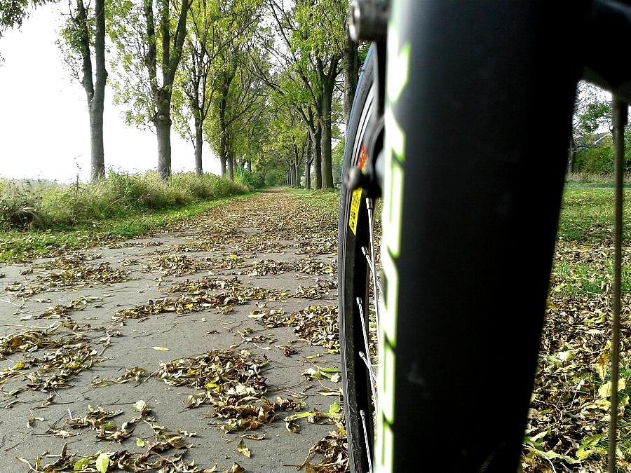 DDR - ka między Kobylanką - Motańcem