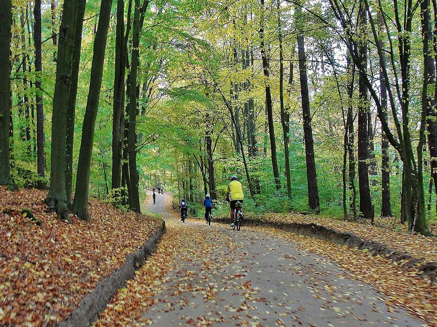 Wokół Jeziora Zduńskiego